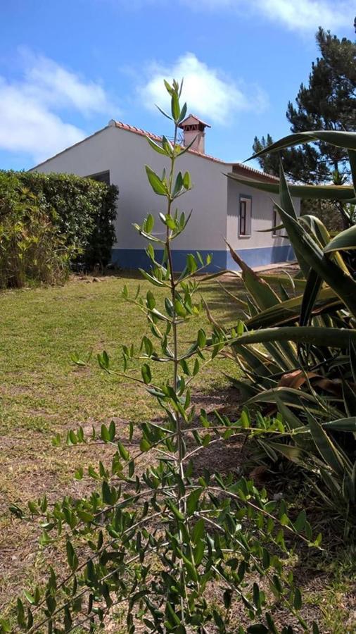 הוילה רוז'יל Casa Da Samouqueira מראה חיצוני תמונה