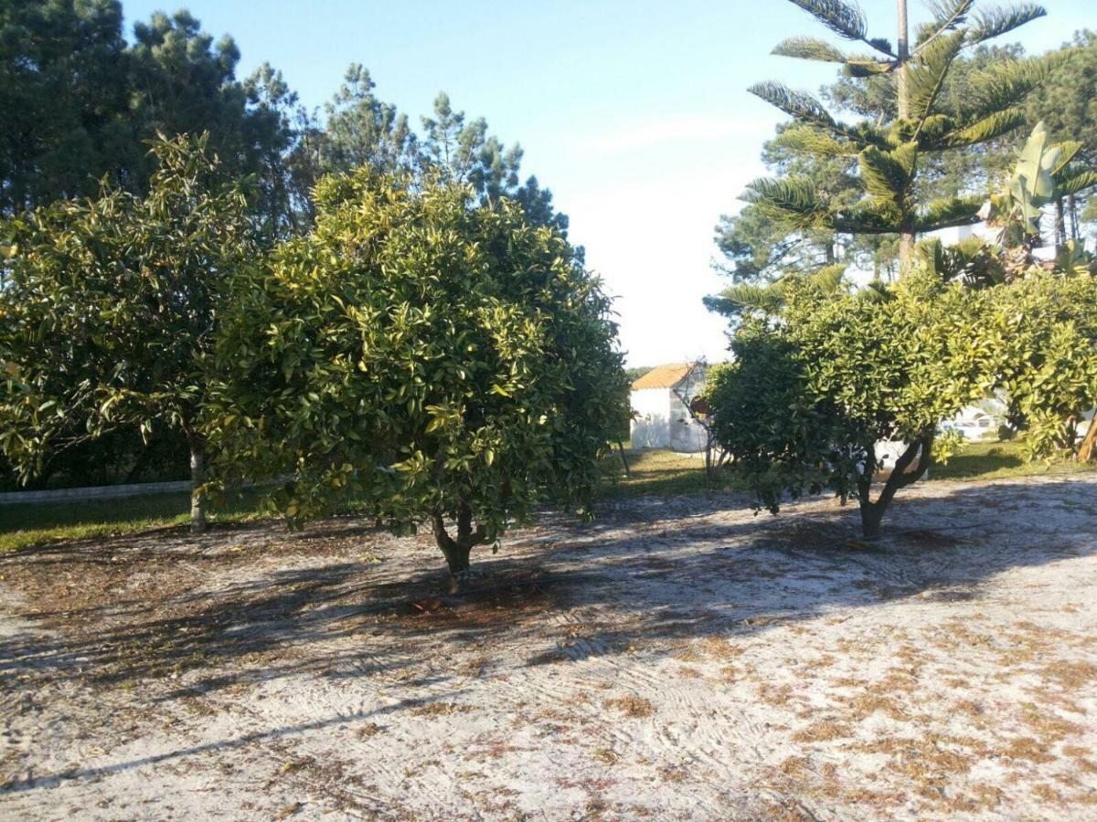 הוילה רוז'יל Casa Da Samouqueira מראה חיצוני תמונה